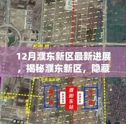 揭秘濮東新區(qū)，巷子深處的獨(dú)特小店與最新進(jìn)展的奇跡之旅揭秘濮東新區(qū)最新進(jìn)展。