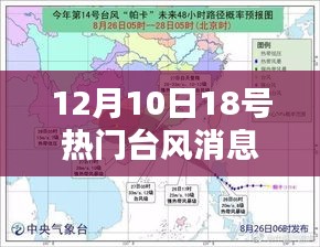 臺風(fēng)鳳凰來襲，最新路徑與深遠(yuǎn)影響紀(jì)實(shí)