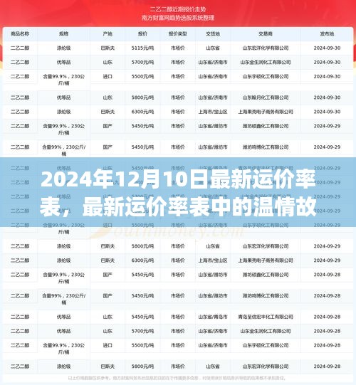 最新運(yùn)價(jià)率表中的友情與陪伴之旅