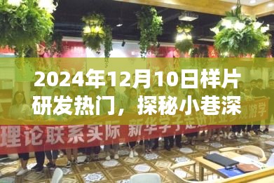 探秘時(shí)光巷，2024年樣片研發(fā)新星在小巷深處的熱門探秘