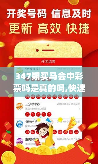 347期買馬會(huì)中彩票嗎是真的嗎,快速解答計(jì)劃設(shè)計(jì)_豪華版10.264