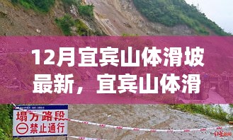 宜賓山體滑坡最新動(dòng)態(tài)與防范應(yīng)對(duì)指南，初學(xué)者到進(jìn)階用戶(hù)的必備知識(shí)