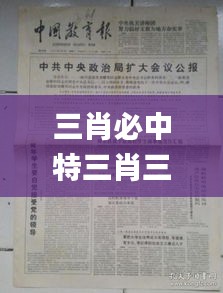 三肖必中特三肖三期內(nèi)必中,實踐說明解析_鉑金版7.272