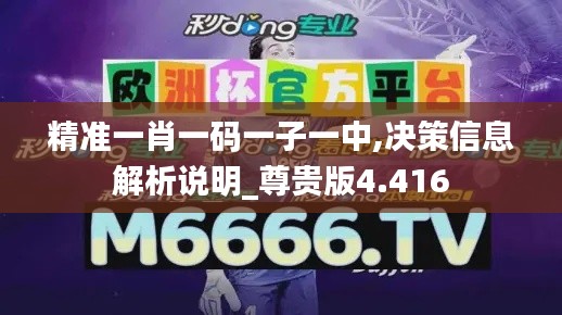 精準一肖一碼一子一中,決策信息解析說明_尊貴版4.416