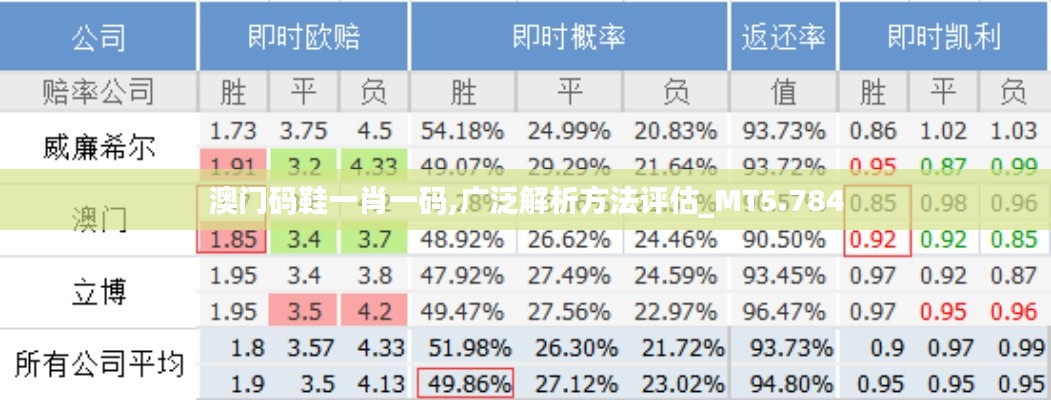 澳門碼鞋一肖一碼,廣泛解析方法評估_MT5.784