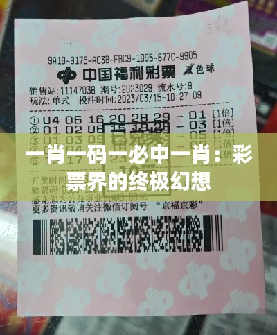 一肖一碼一必中一肖：彩票界的終極幻想