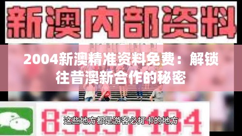 2004新澳精準(zhǔn)資料免費(fèi)：解鎖往昔澳新合作的秘密