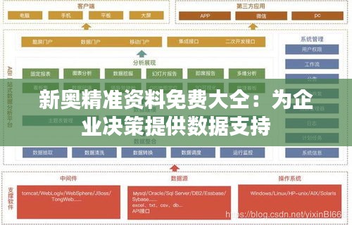 新奧精準(zhǔn)資料免費大仝：為企業(yè)決策提供數(shù)據(jù)支持