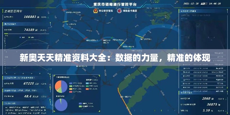 新奧天天精準資料大全：數據的力量，精準的體現