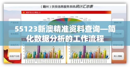 55123新澳精準(zhǔn)資料查詢(xún)—簡(jiǎn)化數(shù)據(jù)分析的工作流程