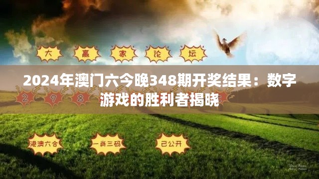 2024年澳門六今晚348期開獎結(jié)果：數(shù)字游戲的勝利者揭曉