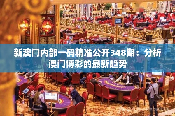 新澳門內(nèi)部一碼精準(zhǔn)公開348期：分析澳門博彩的最新趨勢(shì)