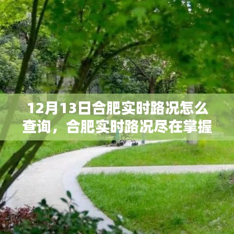 合肥實(shí)時(shí)路況查詢指南，智能導(dǎo)航重塑出行體驗(yàn)，路況盡在掌握！