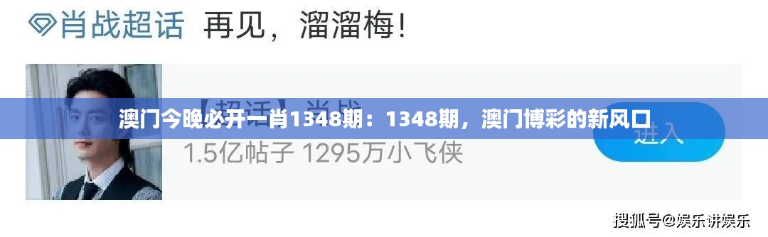 澳門今晚必開一肖1348期：1348期，澳門博彩的新風(fēng)口