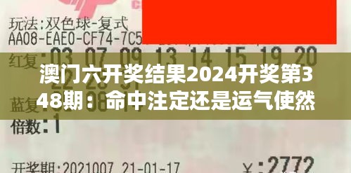 澳門六開獎結果2024開獎第348期：命中注定還是運氣使然