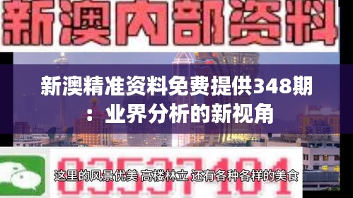 新澳精準(zhǔn)資料免費提供348期：業(yè)界分析的新視角