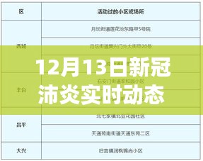12月13日新冠沛炎實(shí)時(shí)動(dòng)態(tài)，變化中的學(xué)習(xí)，鑄就未來(lái)力量的新動(dòng)態(tài)