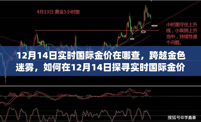 揭秘實(shí)時國際金價，探尋黃金價值，激發(fā)學(xué)習(xí)與成長之旅（12月14日版）