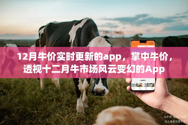 掌中牛價，透視十二月牛市場風云變幻的實時牛價更新App