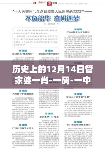 歷史上的12月14日管家婆一肖-一碼-一中：肖一碼的智慧與一中的力量