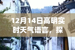 高明實時天氣下的驚喜小巷美食之旅，探秘獨特風味小店