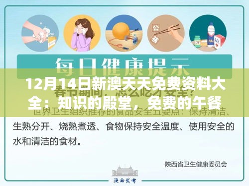 12月14日新澳天天免費(fèi)資料大全：知識的殿堂，免費(fèi)的午餐