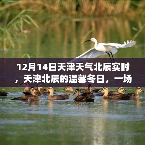 天津北辰冬日趣事，天氣引發(fā)的溫馨與趣味