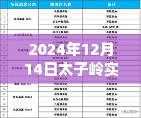 太子嶺逆風(fēng)翱翔，天氣變化中的勵志篇章與實時天氣查詢表