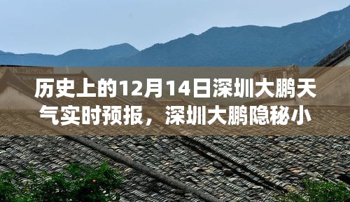 深圳大鵬隱秘小巷天氣故事與奇遇，歷史天氣回顧與特色小店探訪