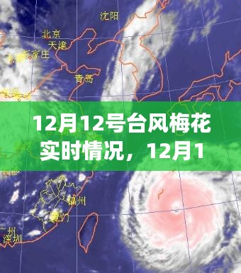 深度解析，臺風(fēng)梅花進(jìn)展與影響——12月12日實時報告