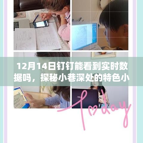 龍飛鳳舞 第5頁(yè)