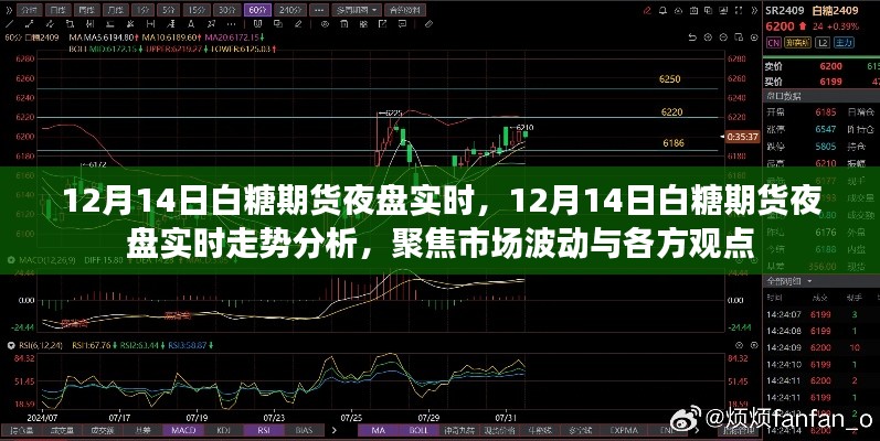 聚焦市場(chǎng)波動(dòng)與各方觀點(diǎn)，白糖期貨夜盤實(shí)時(shí)走勢(shì)分析（12月14日）