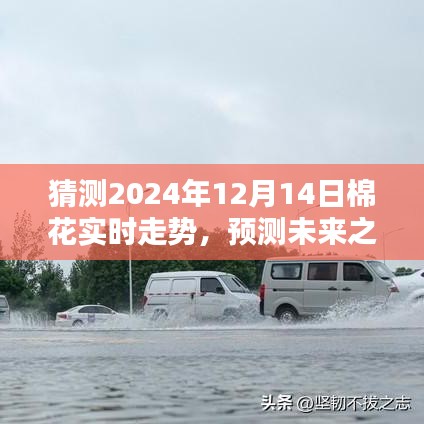 揭秘，如何預(yù)測未來之路——2024年棉花市場走勢分析展望報告揭秘！
