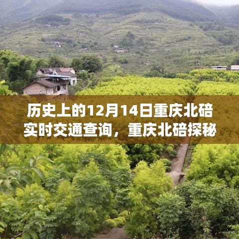 歷史上的今天，重慶北碚的交通與自然美景探秘