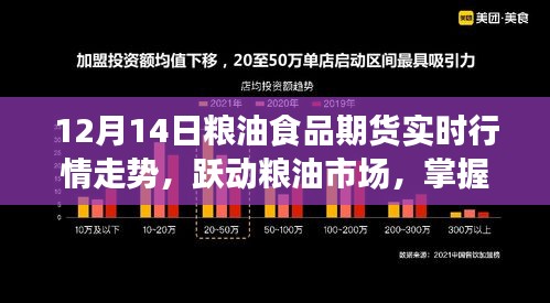 躍動(dòng)糧油市場，掌握期貨行情，成就夢想之路——12月14日糧油食品期貨實(shí)時(shí)行情解析