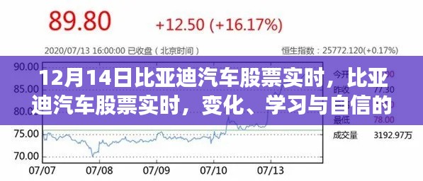 比亞迪汽車股票實時動態(tài)，變化、學習與自信的力量