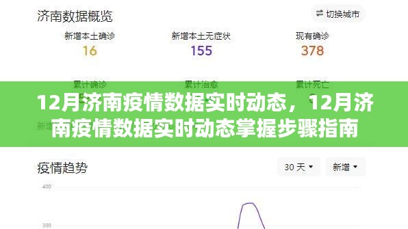 濟(jì)南疫情實(shí)時動態(tài)掌握指南，步驟與數(shù)據(jù)解讀