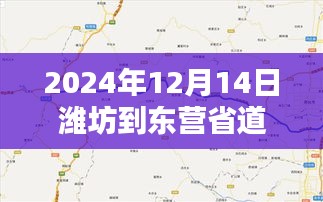 探秘濰坊至東營(yíng)省道，路況速遞與小巷獨(dú)特風(fēng)情紀(jì)實(shí)（實(shí)時(shí)更新）