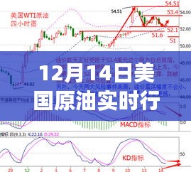 12月14日美國原油實(shí)時行情解析，市場洞察與個人觀點(diǎn)