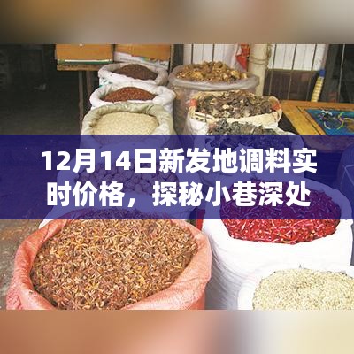 探秘新發(fā)地調料王國，12月14日實時價格揭秘