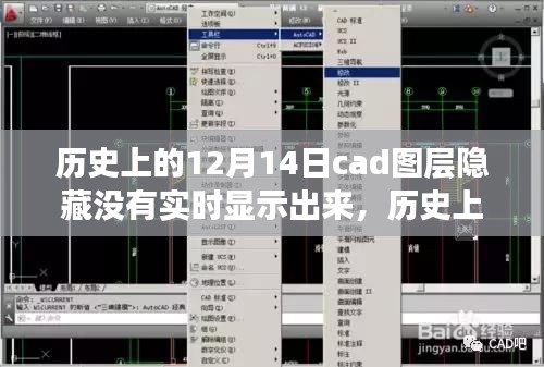 歷史上的12月14日CAD圖層隱藏問題及其影響深度解析