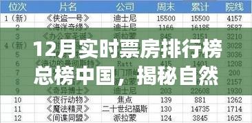 中國十二月票房巔峰之旅，自然之美與微笑的秘密港灣