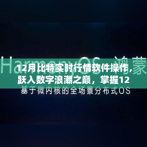 掌握數(shù)字浪潮之巔，揭秘12月比特實(shí)時(shí)行情軟件的勵(lì)志操作之旅