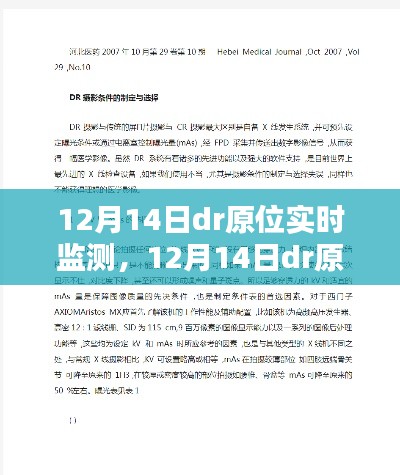 12月14日DR原位實時監(jiān)測，利弊分析與個人觀點探討