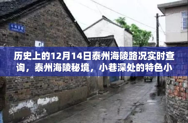 泰州海陵秘境探秘與實時路況回顧，歷史上的十二月十四日路況回顧及小巷特色小店揭秘