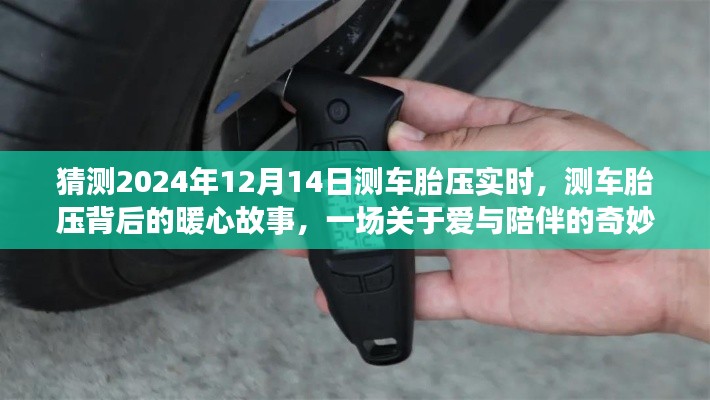 愛與陪伴的奇妙旅程，測車胎壓背后的暖心故事，預(yù)測2024年12月14日實(shí)時(shí)體驗(yàn)分享