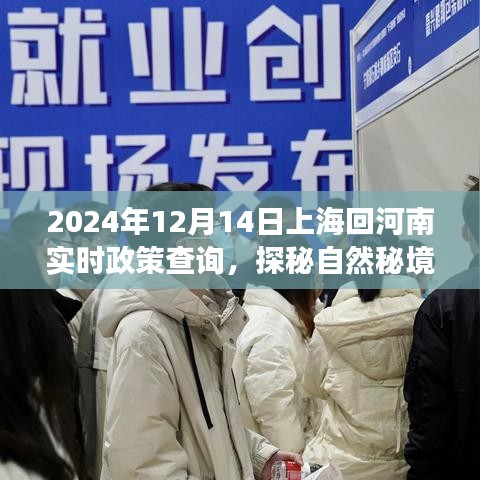 上海返鄉(xiāng)之旅，探秘自然秘境，了解實(shí)時(shí)政策，靜享從上海到河南的旅程