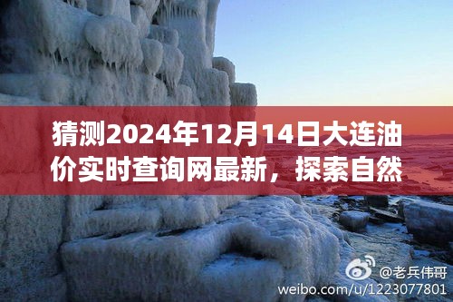 2024年油價(jià)預(yù)測與大連自然美景探索，心靈寧靜之旅