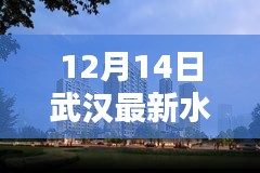 披沙揀金 第3頁(yè)
