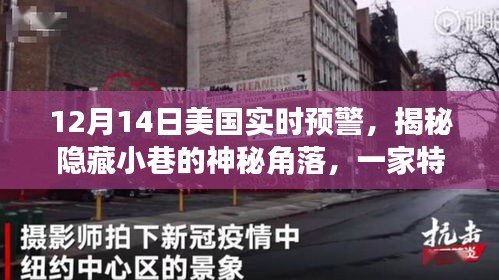 揭秘隱藏小巷的神秘角落，特色小店在實時預(yù)警中的嶄露頭角（美國篇）